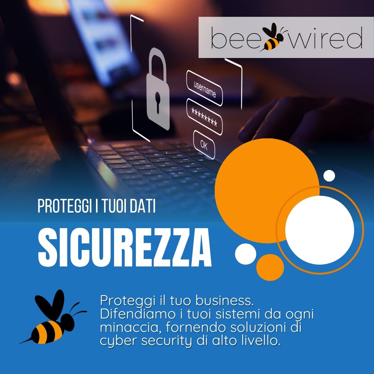 beewired Sicurezza